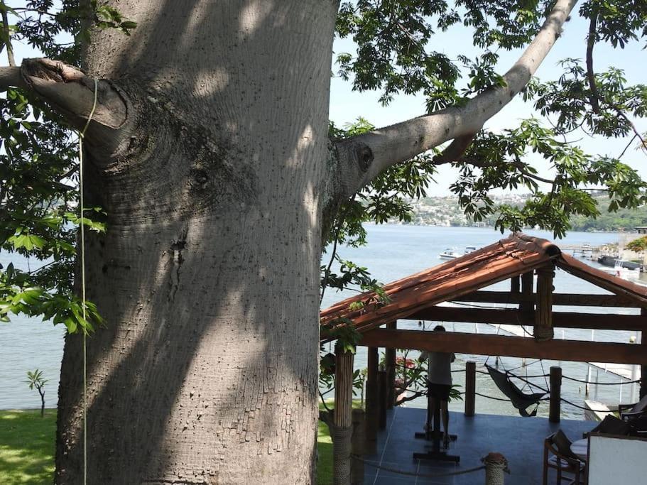 Habitacion Independiente A Pie Del Lago Con Ac Tequesquitengo Bagian luar foto